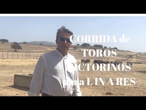 CORRIDA de TOROS VICTORINOS para LINARES