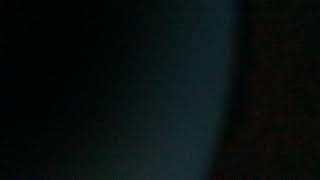 Go Diego Go - Super Flying Squirrel