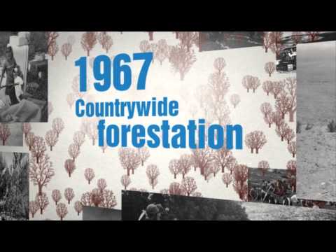 JNF History - קק"ל