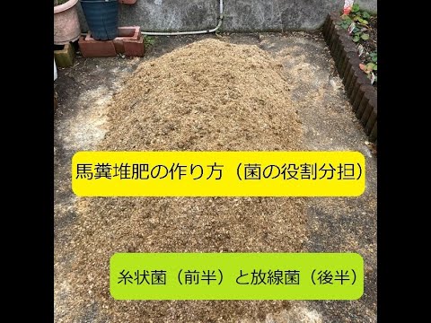 堆肥化した馬糞の使い方は？肥沃な作物を育てるための利点とヒント  庭園
