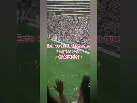Crema Mi Gran Amigo - Universitario
