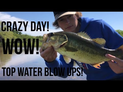 RECORD Day of FROG Fishing (LOADED w/ GIANT Bass)