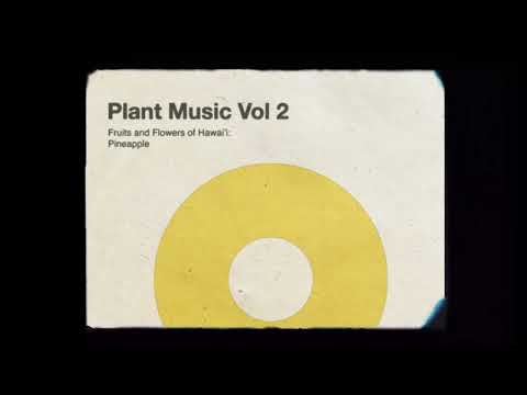 Modern Biology - Pineapple