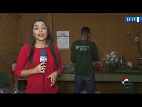 O DIA NEWS 16 12 2019  Flores em alta no Natal