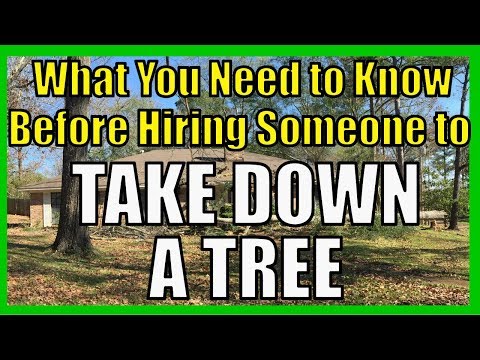 1st YouTube video about how to negotiate tree removal