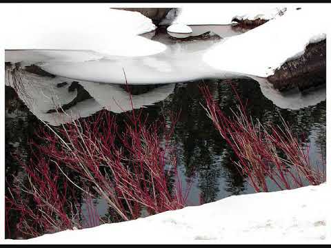 ŽIEMA   Gintarė Jautakaitė