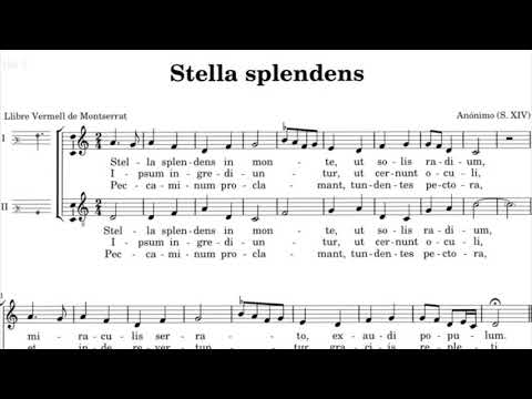 Stella splendens, Alberto Portales