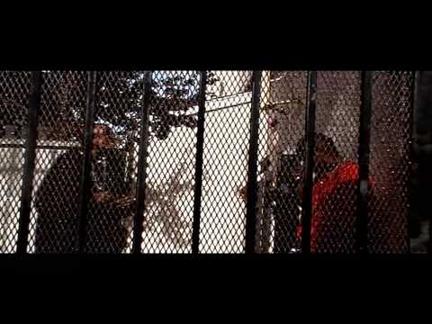 the tigg's music video