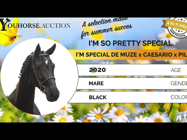 I'm So Pretty Special showvideo