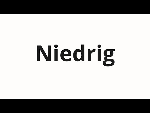 How to pronounce Niedrig