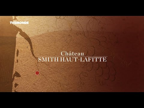 La Vigne en Heritage - Reportage TV5 Monde sur le château Smith Haut Lafitte