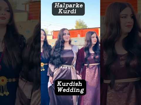 Kurdish Wedding Dance#shorts#wedding #dance #türkiye #kurdistan