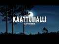 Ilaiyaraaja Kaattumalli Lyrics Viduthalai