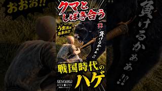 戦国時代にクマとガチでしばき合うハゲwwww🐻💥【戦国ダイナスティー】