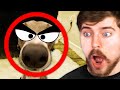 Reaction Shorts Are Bad