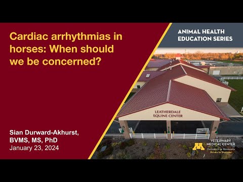 Cardiac arrhythmias in horses: When should we be concerned?