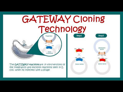 image-What operating system does Gateway use?