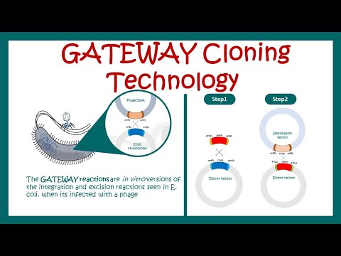 Gateway cloning | How does Gateway cloning work? | What are the advantages of Gateway cloning? |