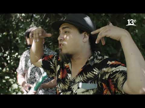 Los proyectos de Dplex | La VItrola