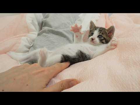 YouTube 썸네일