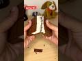 Bounty Chocolate Chocolate Bounty Coconut