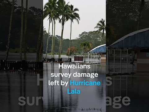 Hawaiians survey damage left by Huricane Lala | DW News