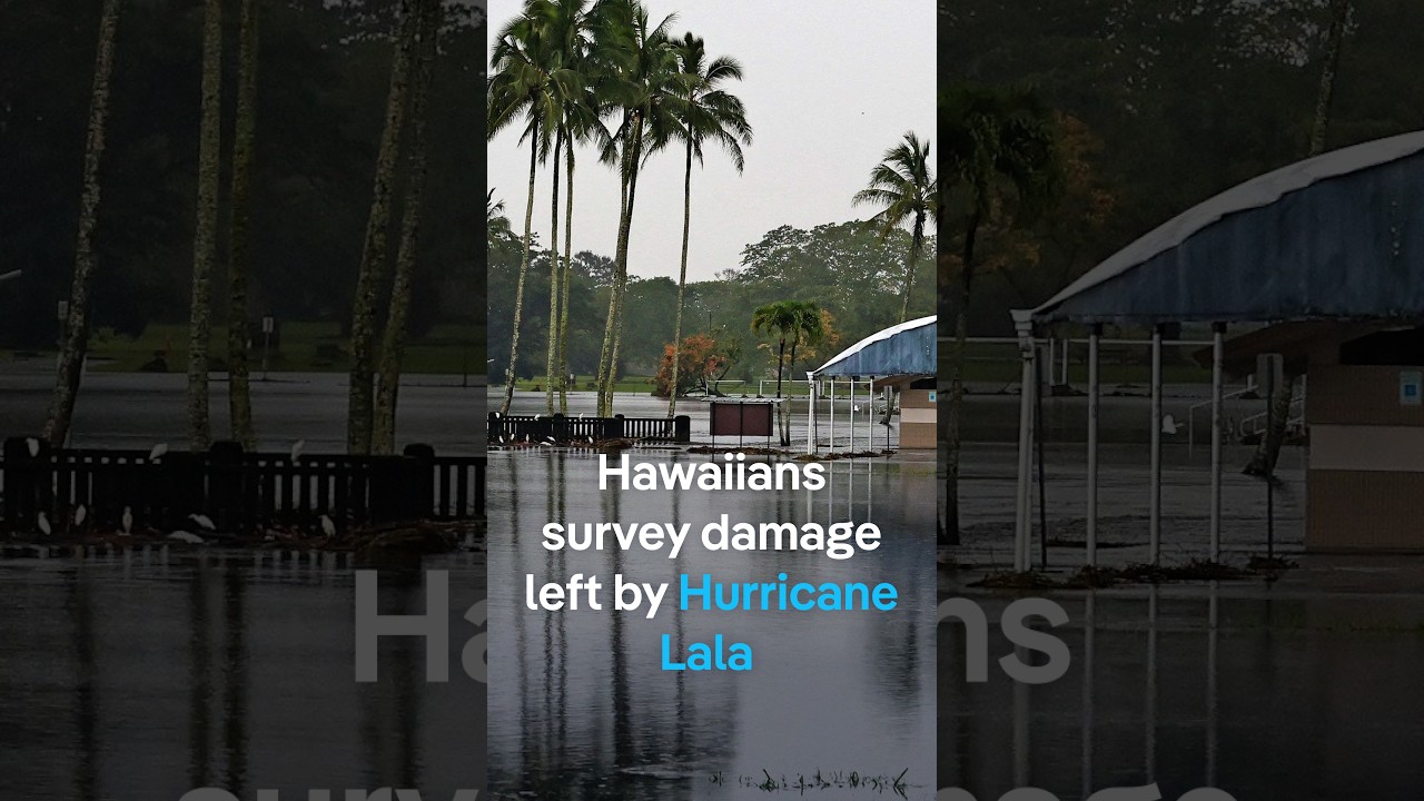 Video: Hawaiian resident assesses downed trees and power outages after Hurricane Lala