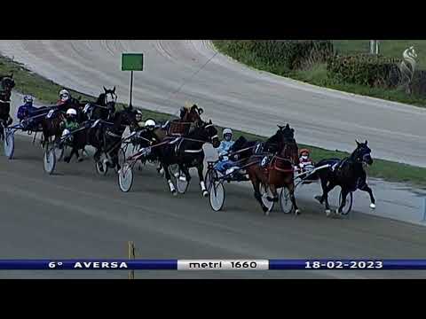 Aversa trotto 18 Febbraio 2023 - 6° Corsa