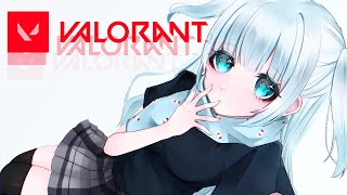 【VALORANTカスタム】救急隊のみんなと～！！！✨【 ぶいすぽ  / 花芽すみれ 】