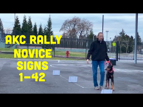 All AKC Rally Novice Signs Explained and Demonstrated