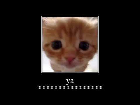 Sqwore + 3TERNITY + Breakbeat + Hyperpop + Type Beat - lor @kir1i600