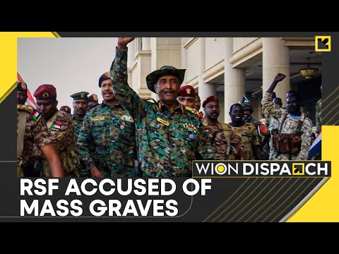 ICC Confirms War Crimes in Sudan: RSF Accused of Mass ...