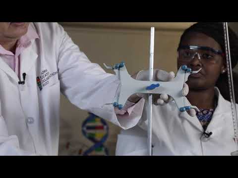 NECT Physical Sciences - Gr 12 Acid Base Titration