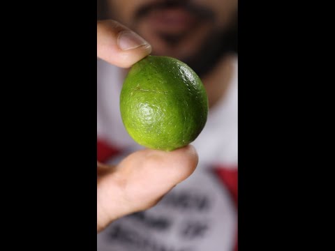 My First Time Trying Key Lime