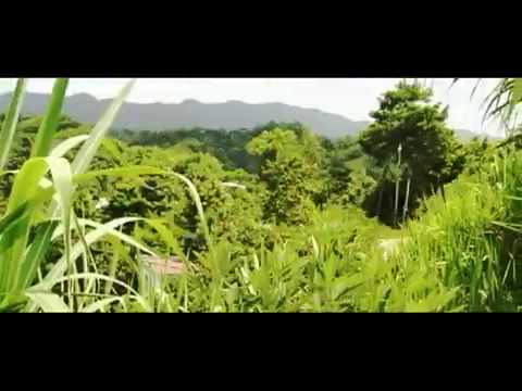 Turbulence & Kananga - Don't Let Them Fool You (Official Music Video)