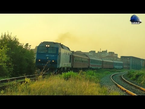 Trenurile Diminetii in Oradea - Morning Trains in Oradea - 01 September 2015