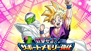 TEAM CHALLENGE COMPLETE!!! Behold! Support Memory Boost | DBZ DOKKAN BATTLE