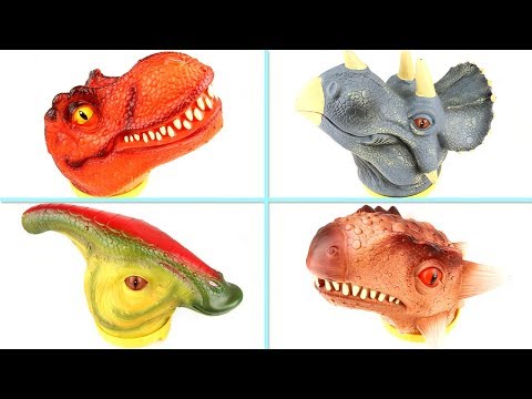 4 Big Heads Of Dinosaurs-Learn Names of Dinosaurs with T Rex Triceratops Ankylosaurus! Dinosaur Toys