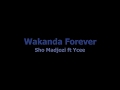 Sho Madjozi - Wakanda forever (lyrics)
