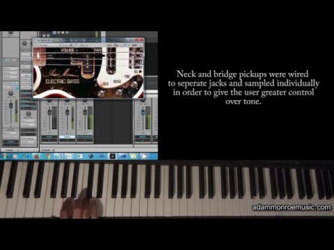 Free Download Electric Bass v1.3 AAX AU VSTi WiN MAC-DECiBEL