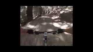 Timberview Trail video