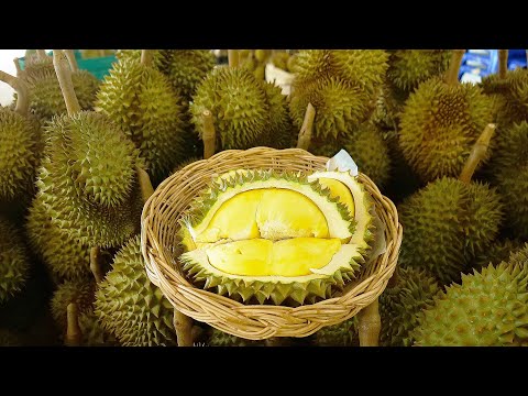 Amazing Durian Farm! Durian Fruit Harvesting Cutting Skills! - Thai Street Food