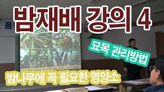 [효원농업기술TV] 농사의 달인 안이영 박사 - 개화기 묘목 관리하는 방법 (동계농업설명회)