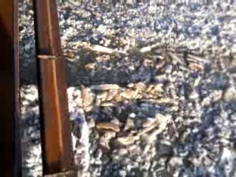 GHETARI MASIVI PE SIRET GALATI. CONTINUARE.3.mp4