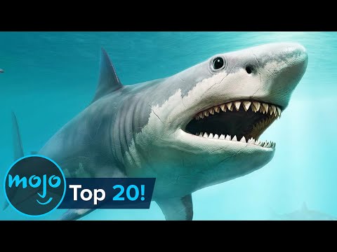 Top 20 Extinct Animals