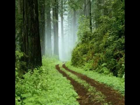 Qulinez ft. Sebastian Ingrosso, Dirty South & Miike Snow - Silvia vs Troll (Parquez Mashup)