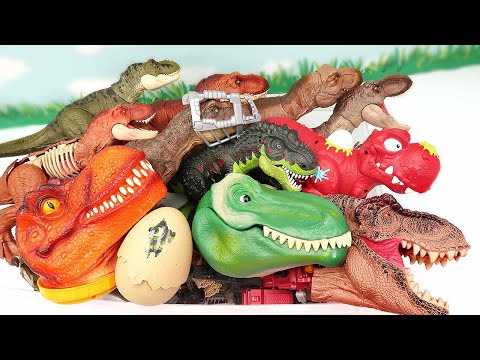 50 Dinosaur Tyrannosaurus Box -Jurassic World, Schleich, Walking Dino, Dinosaur Robot T-Rex
