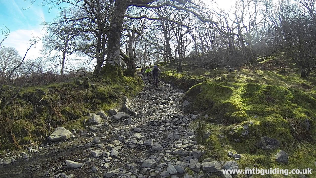 Tom Hutton Website Video