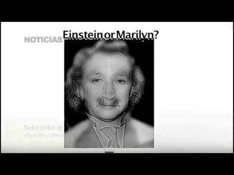 Einstein ou Marilyn ? Comment cette illusion d'optique dissimule deux visages dans un même portrait