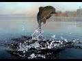 Trout Porn The Movie
